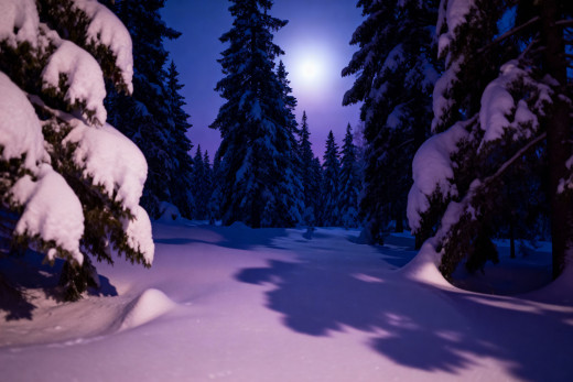 �1763479 �������(a): ����������:3840x2560